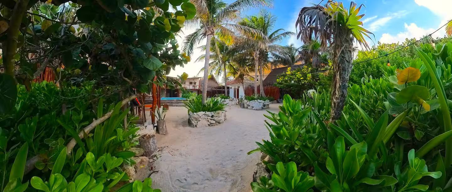 Tropical garden walkway with palm trees, lush greenery, and a sandy path leading to a patio area