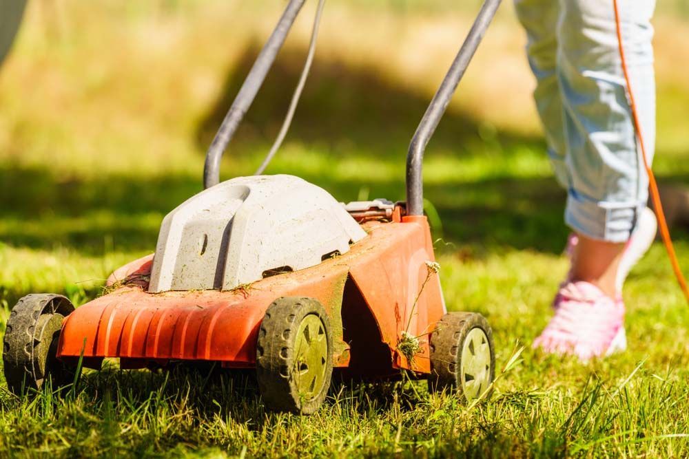 Person Mowing Grass With Lawn Mower — Craig’s Lawn Mowing and Garden Maintenance in Miranda, NSW