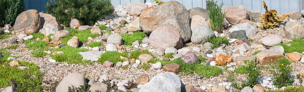 Garden Enhanced with Rocks — Craig’s Lawn Mowing and Garden Maintenance in Gymea, NSW