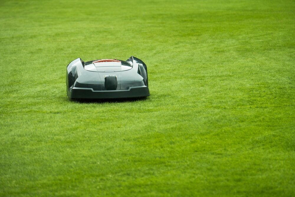 Robotic Lawnmower on a Green Lawn, Cutting Grass — Craig’s Lawn Mowing and Garden Maintenance in Caringbah, NSW 