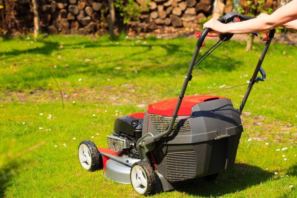 Person Using Lawn Mower — Craig’s Lawn Mowing and Garden Maintenance in Menai, NSW