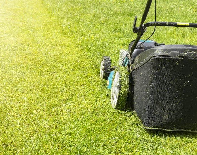 Lawnmower Cutting Fresh Green Grass — Craig’s Lawn Mowing and Garden Maintenance in Caringbah, NSW 