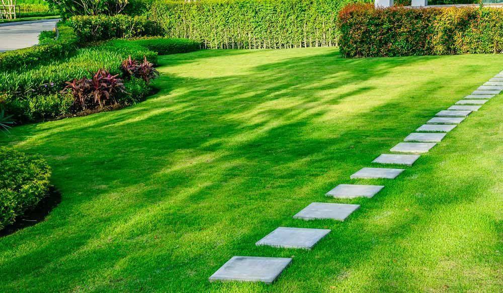 Concrete Stepping Stones On Green Lawn — Craig’s Lawn Mowing and Garden Maintenance in Cronulla, NSW