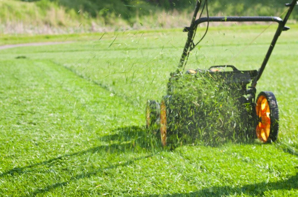 Lawnmower Cutting Grass in a Green Field — Craig’s Lawn Mowing and Garden Maintenance in Miranda, NSW