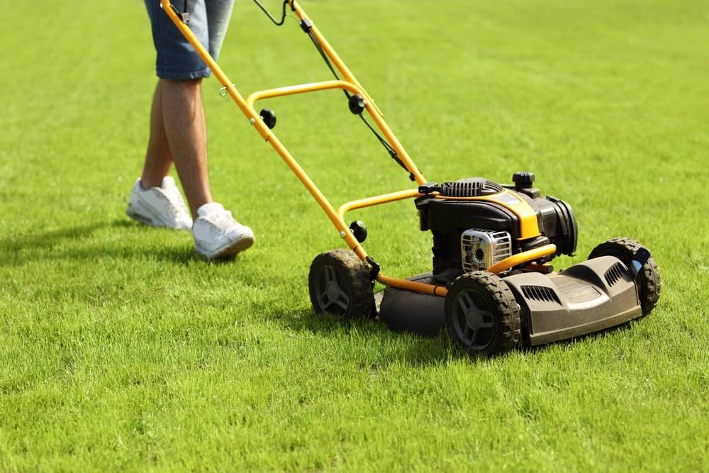 Person Mowing a Green Lawn — Craig’s Lawn Mowing and Garden Maintenance in Gymea, NSW