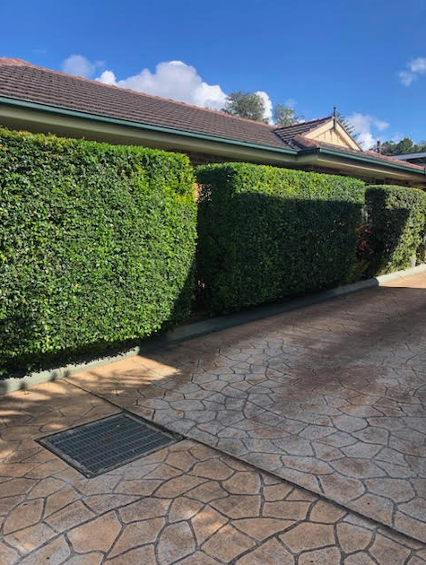 Building With Lots Of Windows And Bushes — Craig’s Lawn Mowing and Garden Maintenance in Miranda, NSW