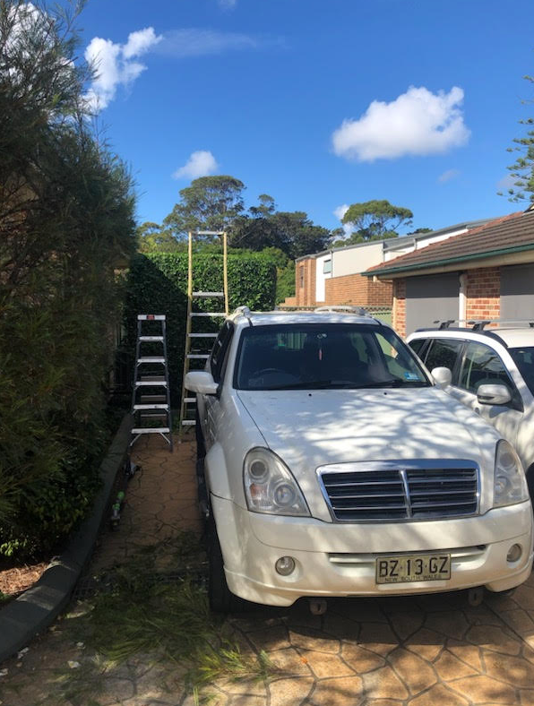 Red Lawn Mower On A Green Lawn — Craig’s Lawn Mowing and Garden Maintenance in Miranda, NSW