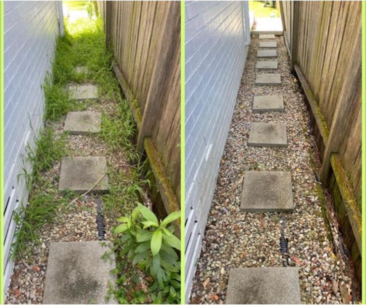 Before And After Of Narrow Walkway — Craig’s Lawn Mowing and Garden Maintenance in Miranda, NSW