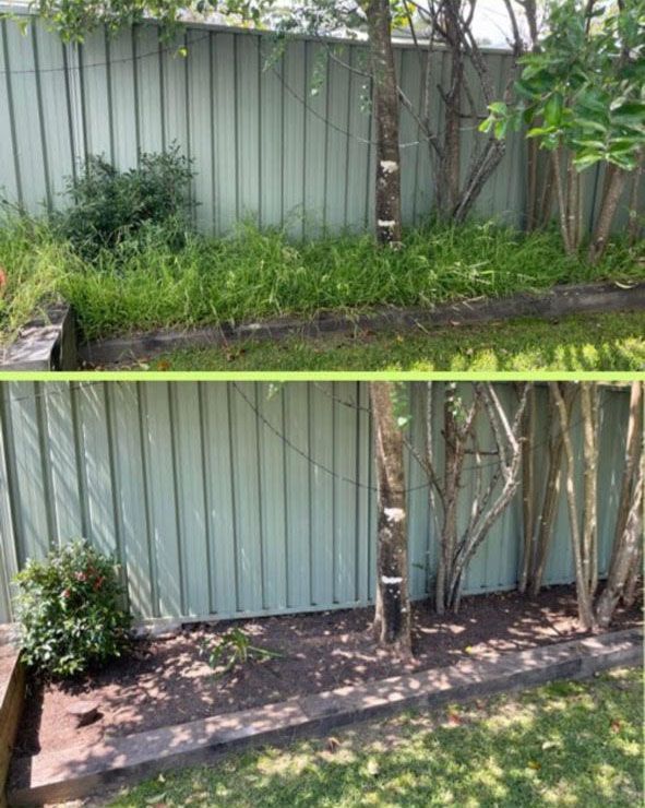 Transformation of a Garden: Before and After — Craig’s Lawn Mowing and Garden Maintenance in Miranda, NSW