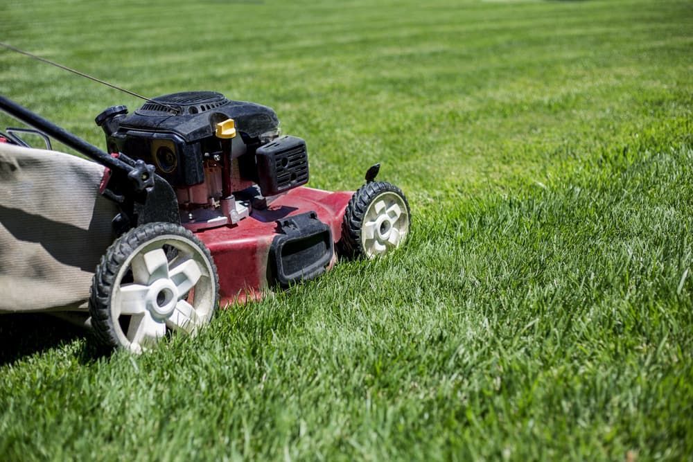 Red Lawnmower Cutting Grass — Craig’s Lawn Mowing and Garden Maintenance in Gymea, NSW