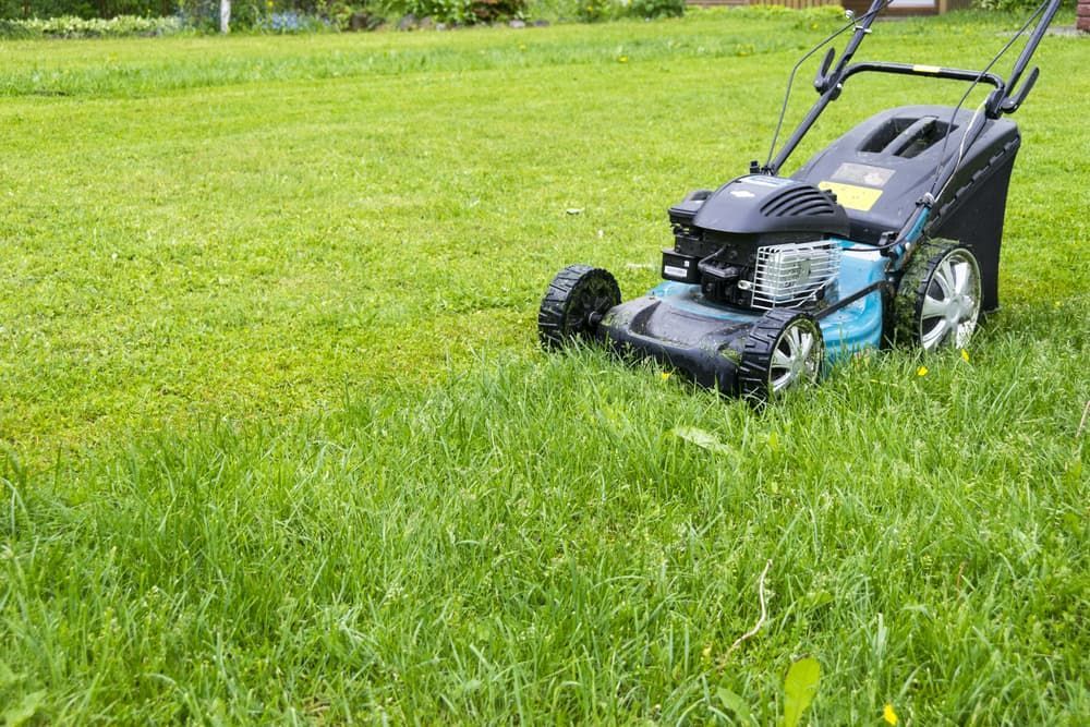 Lawnmower on a Green Lawn, Cutting the Grass — Craig’s Lawn Mowing and Garden Maintenance in Sutherland, NSW
