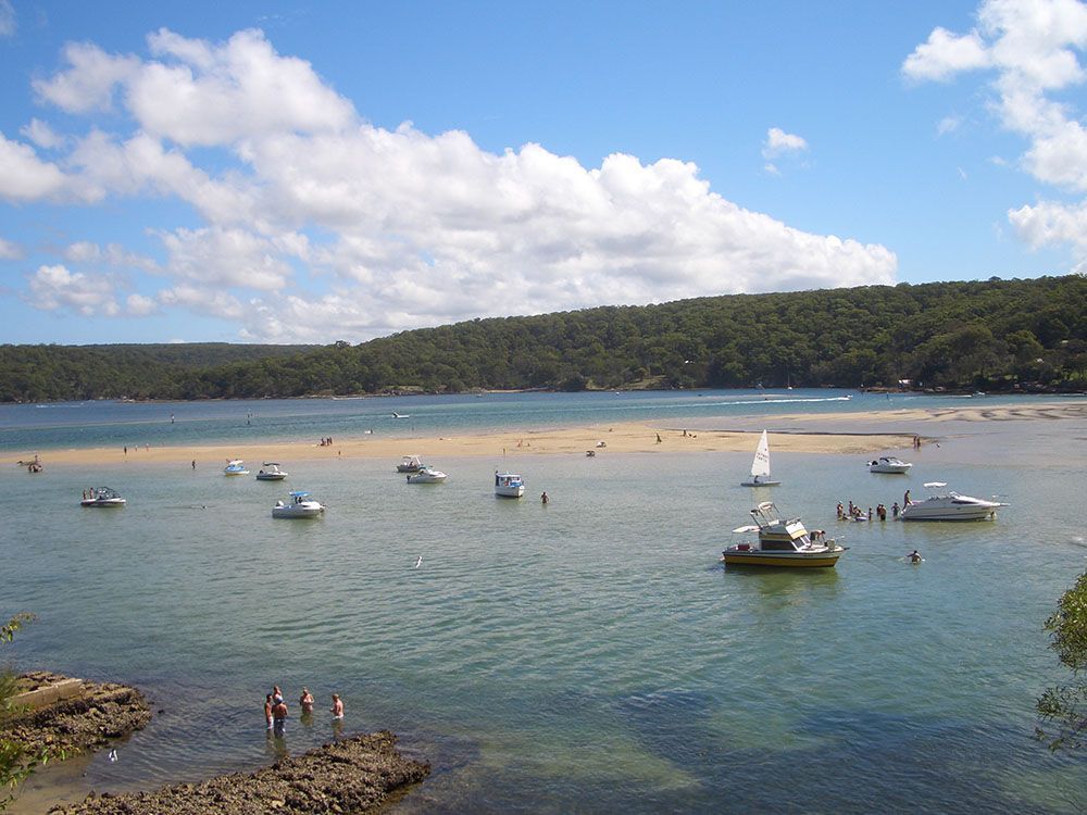 People Swimming In Water — Craig’s Lawn Mowing and Garden Maintenance in Caringbah, NSW