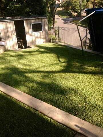 Tranquil Green Lawn Surrounding a Centrally Positioned Shed — Craig’s Lawn Mowing and Garden Maintenance in Miranda, NSW