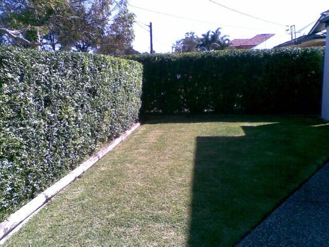 Green Yard With Fence —— Craig’s Lawn Mowing and Garden Maintenance in Miranda, NSW
