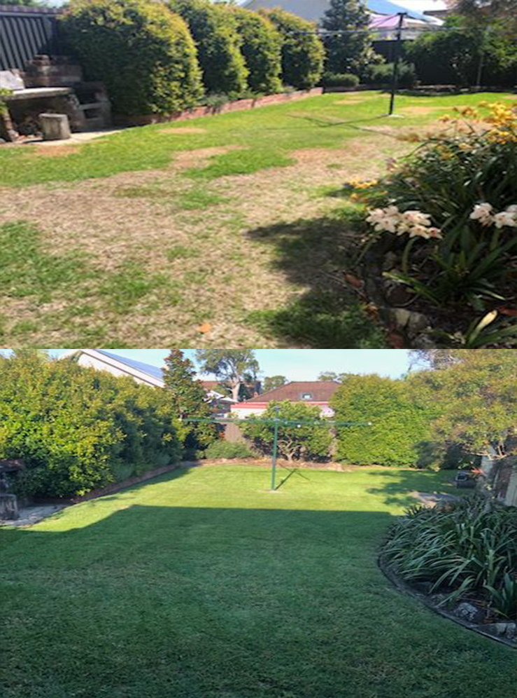 Transformation of a Garden: Before and After — Craig’s Lawn Mowing and Garden Maintenance in Miranda, NSW