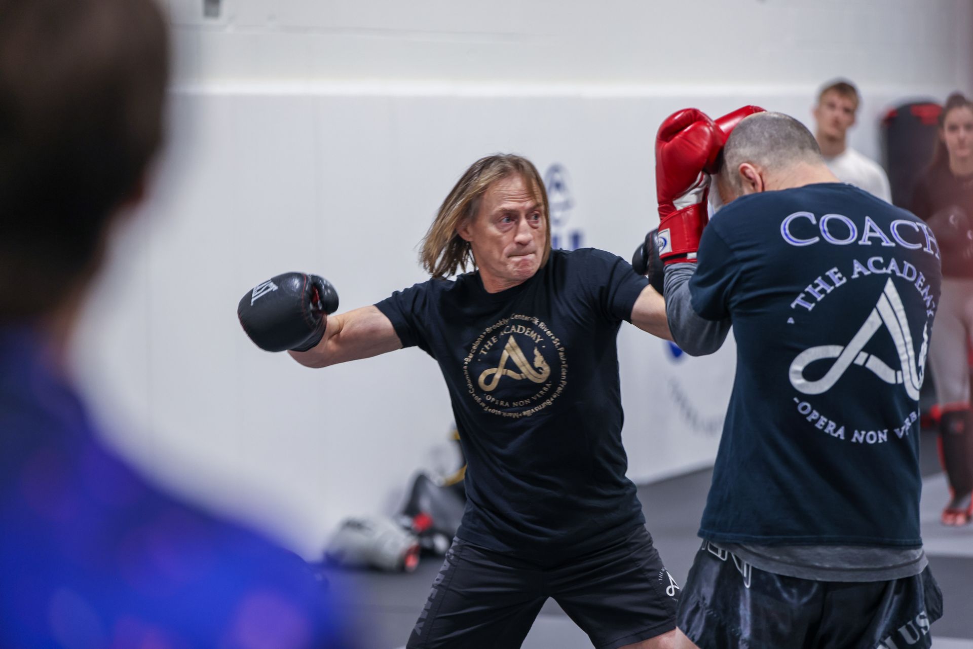 Adults drilling Brazilian Jiu-Jitsu techniques at The Academy Eden Prairie in Minneapolis, MN.