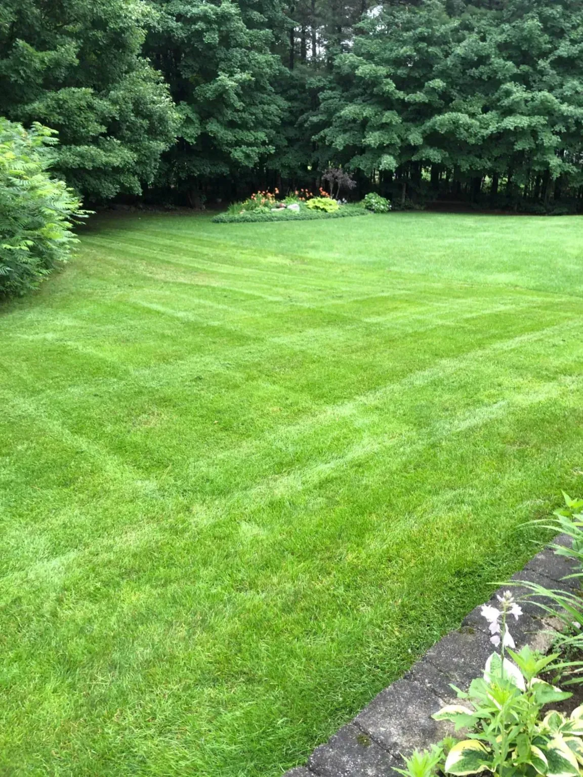 Lawn with striped pattern, surrounded by trees and a garden bed. Green grass, lush foliage.
