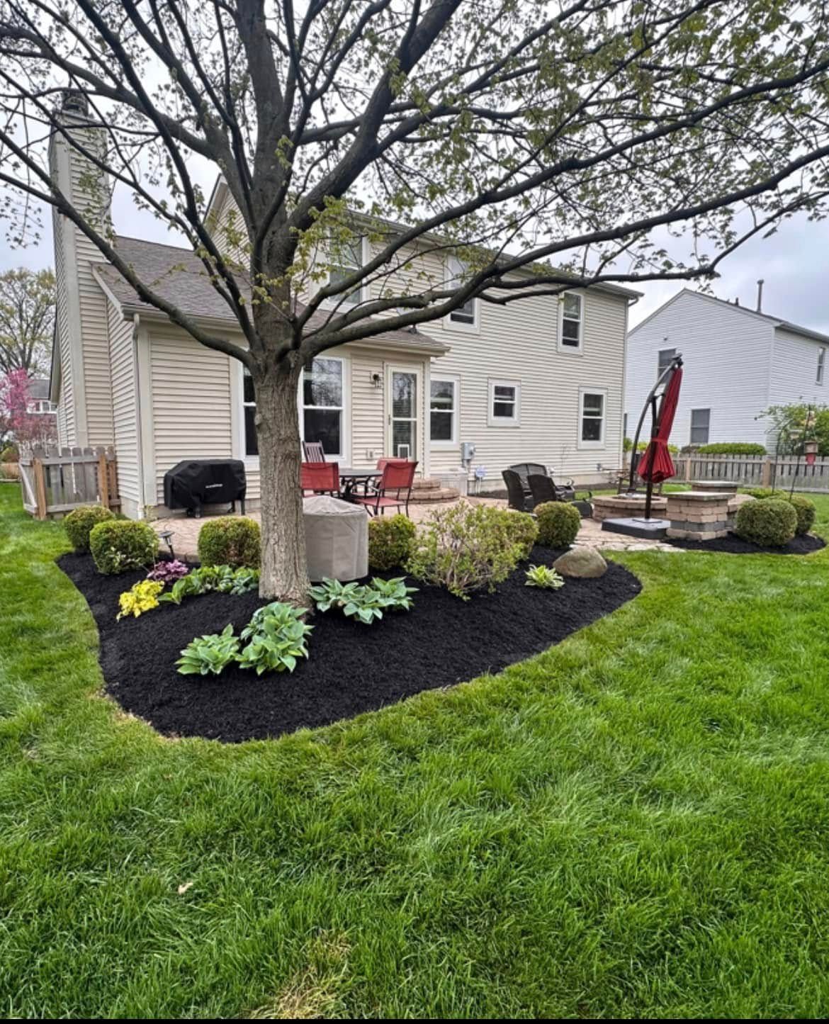 The backyard of a house with a tree and a patio.