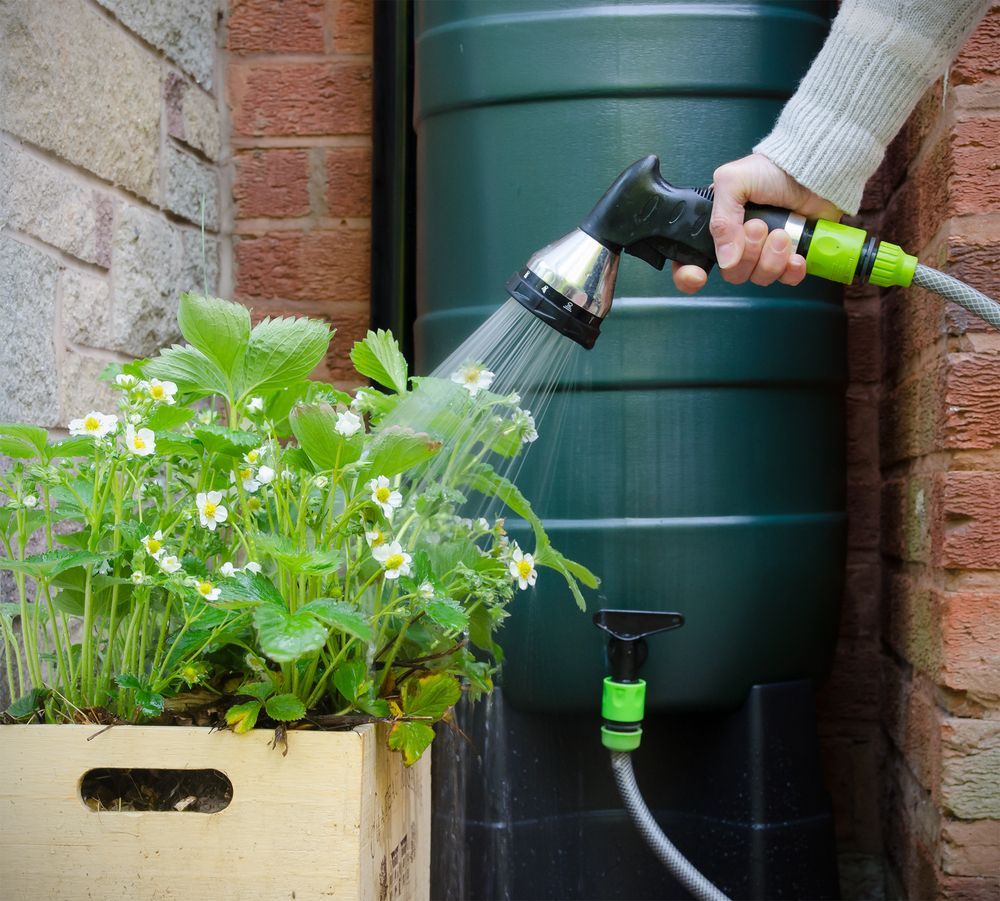 Plants — Leading Nursery in Port Stephens