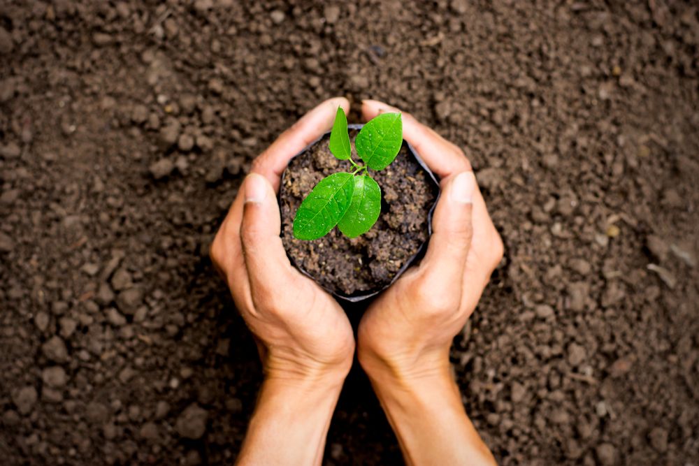 Soil — Leading Nursery in Port Stephens