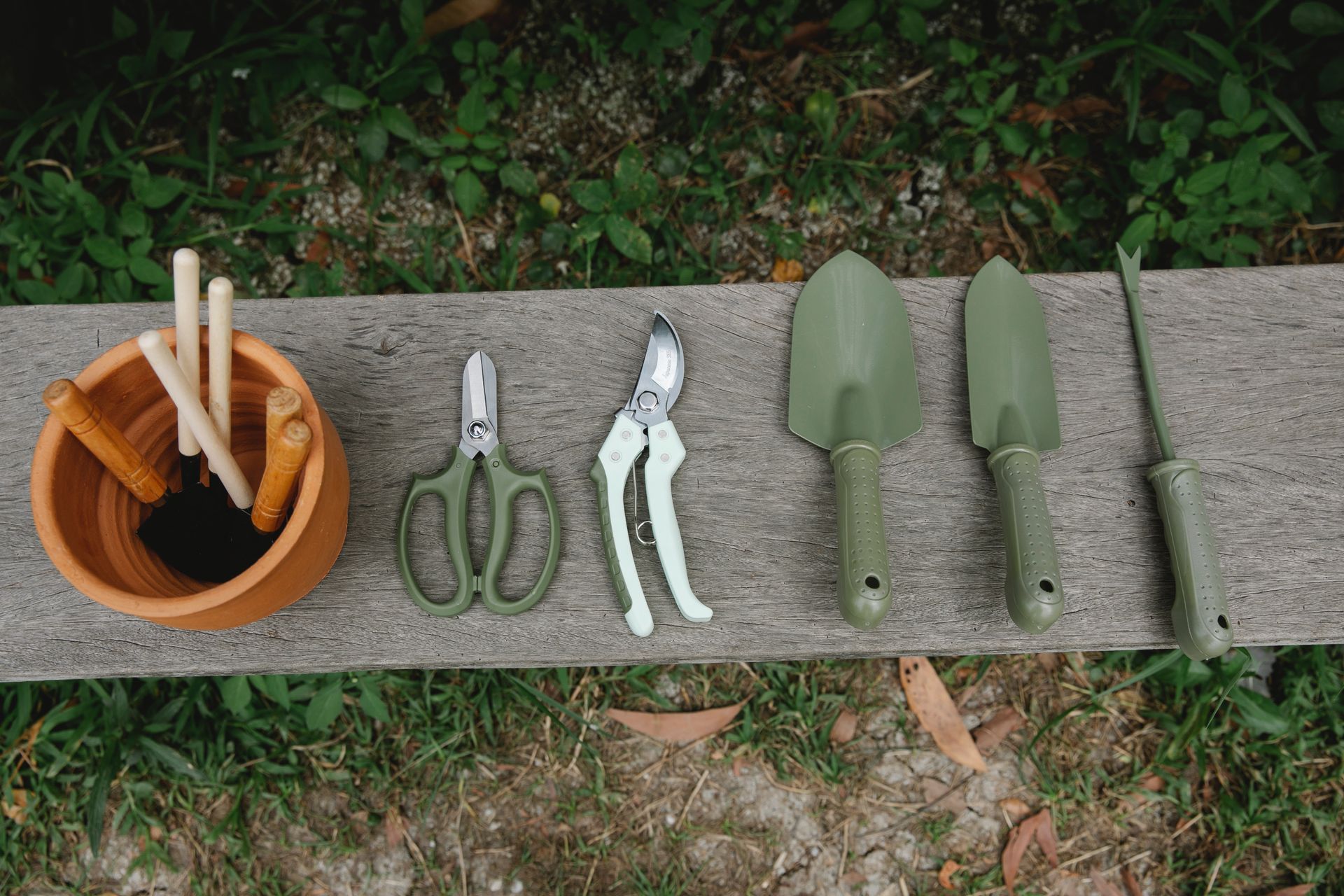 Garden — Leading Nursery in Port Stephens