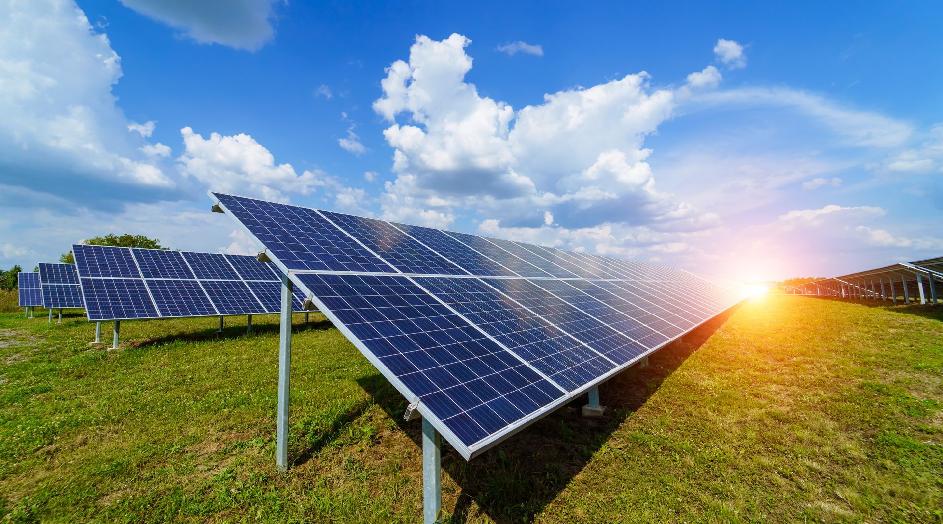 Solar panels in a green field at sunset under a blue sky with clouds