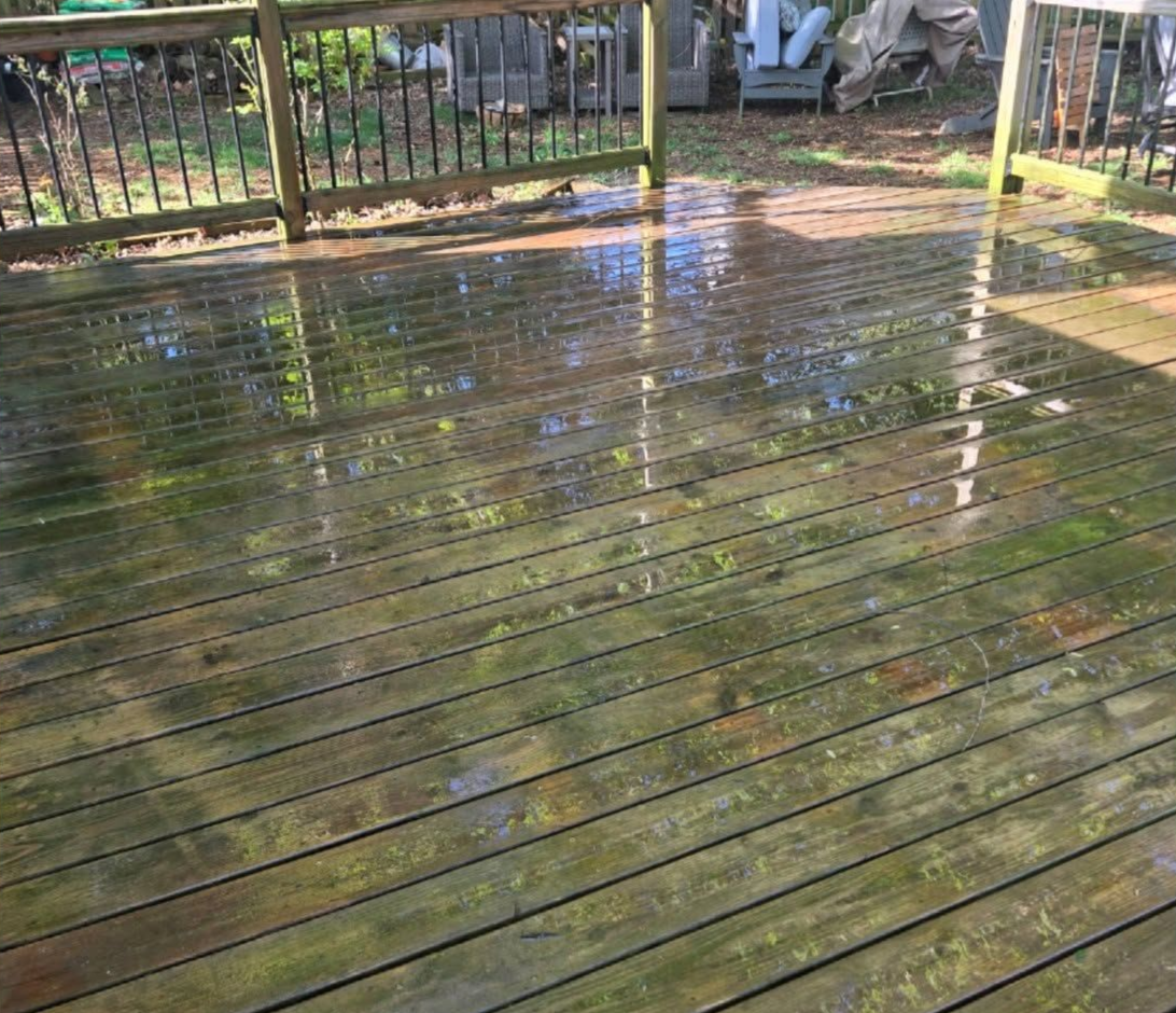 Wet wooden deck with reflections and a black railing in a backyard setting