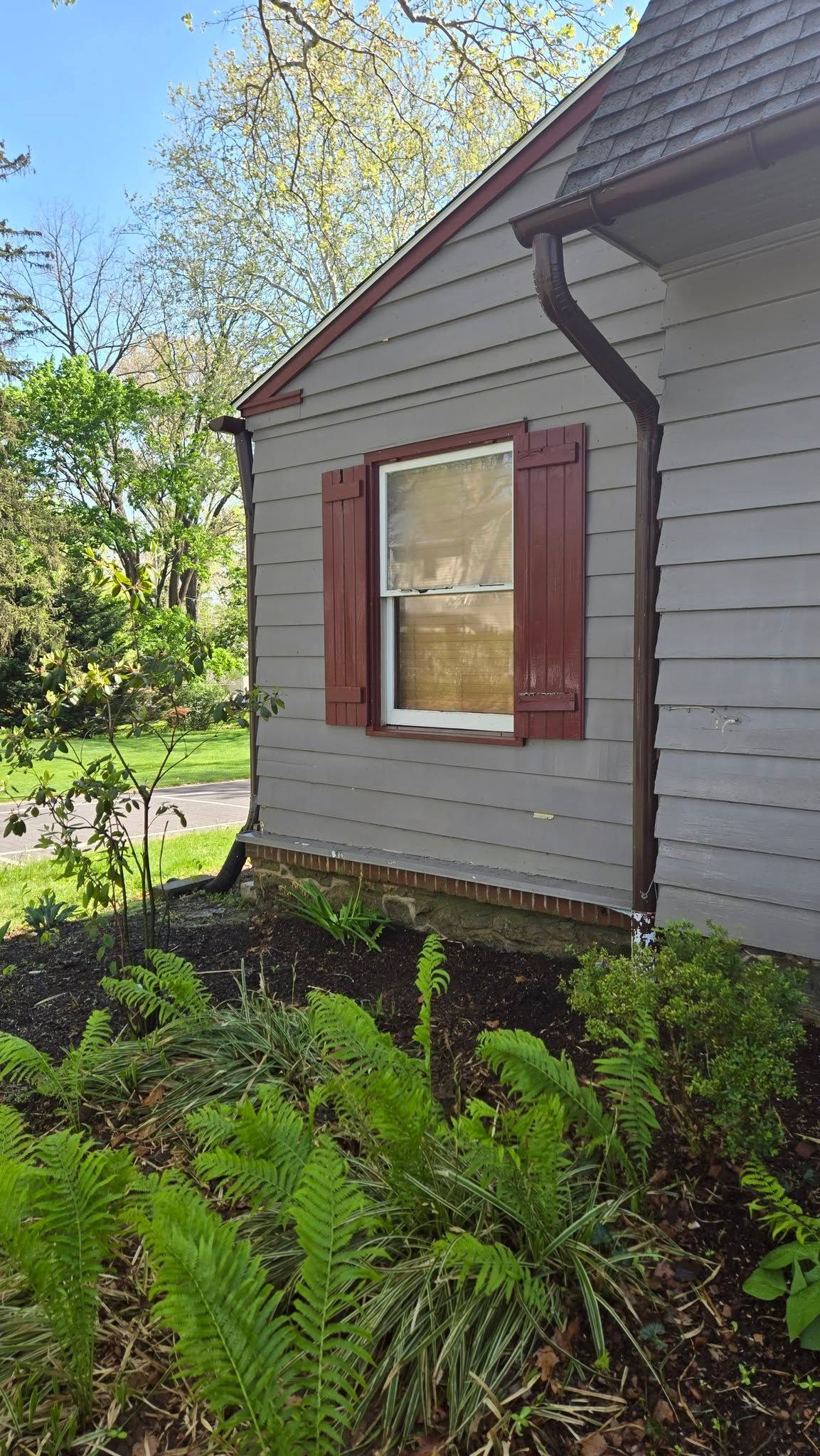 Gray house side with red-trimmed window, surrounded by ferns and trees in sunlight