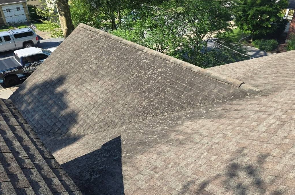 Weathered shingle roof with tree shadows and greenery in the background