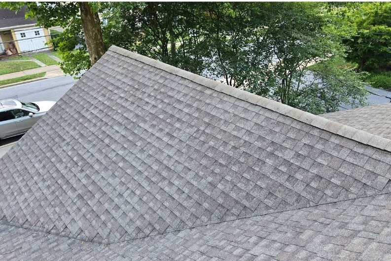 Gray shingled roof viewed from above, with trees and a street in the background