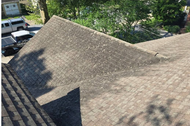 Rooftop with weathered shingles and tree shadows, viewed from above