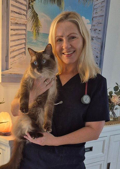 HousePaws Mobile Vet staff holding cute ragdoll kitten.