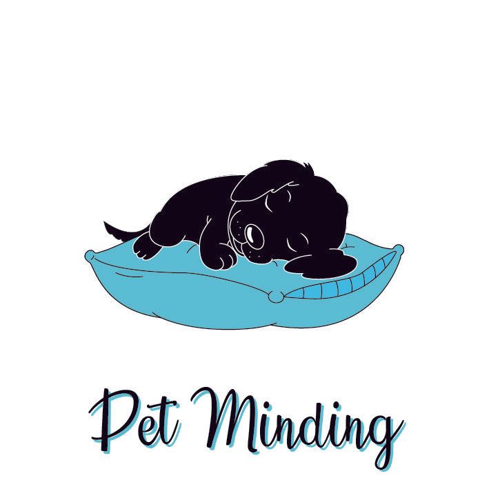 Black puppy sleeping on a teal pillow; text below reads 