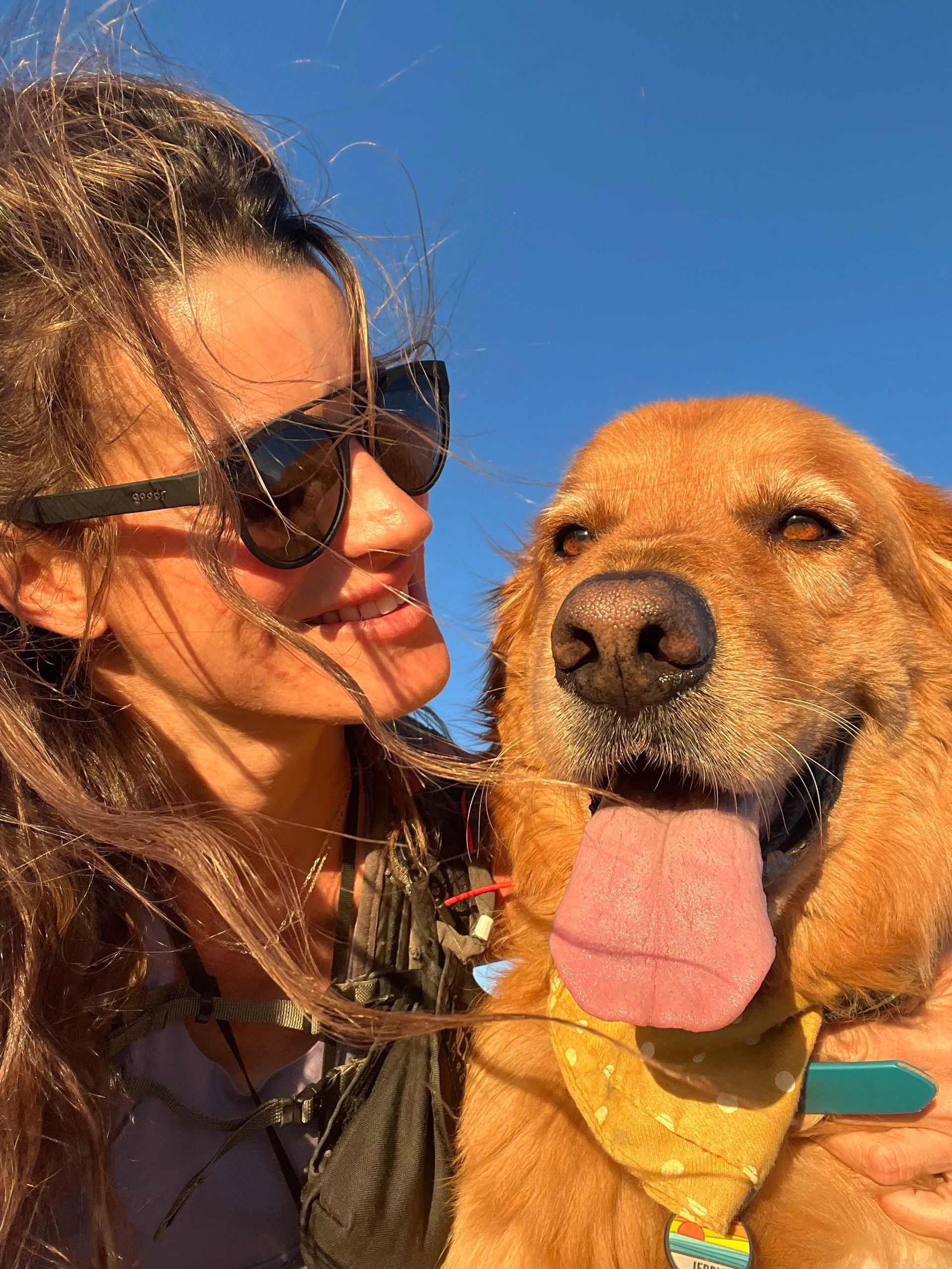 Dog Walking
