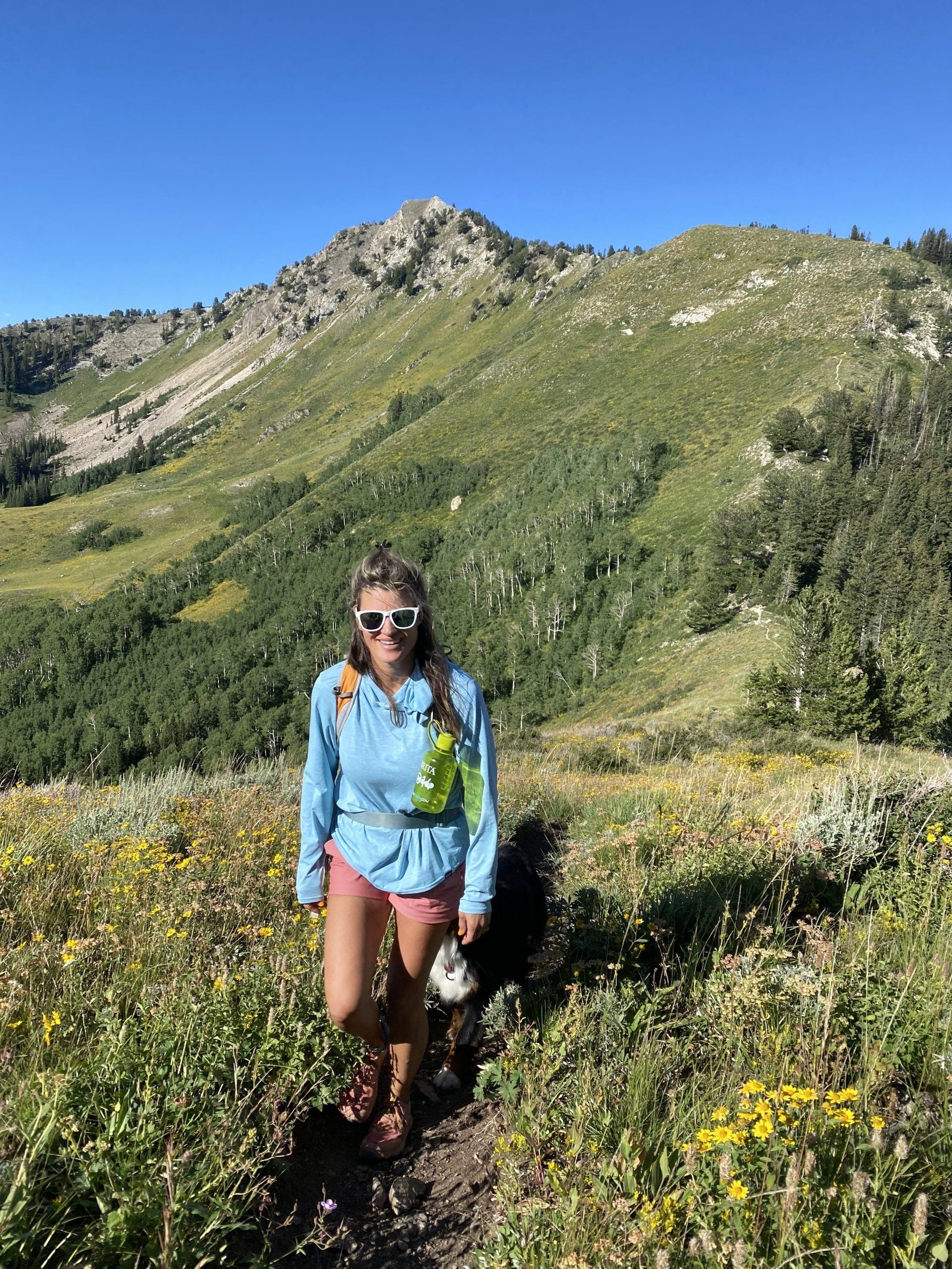 best dog hiker