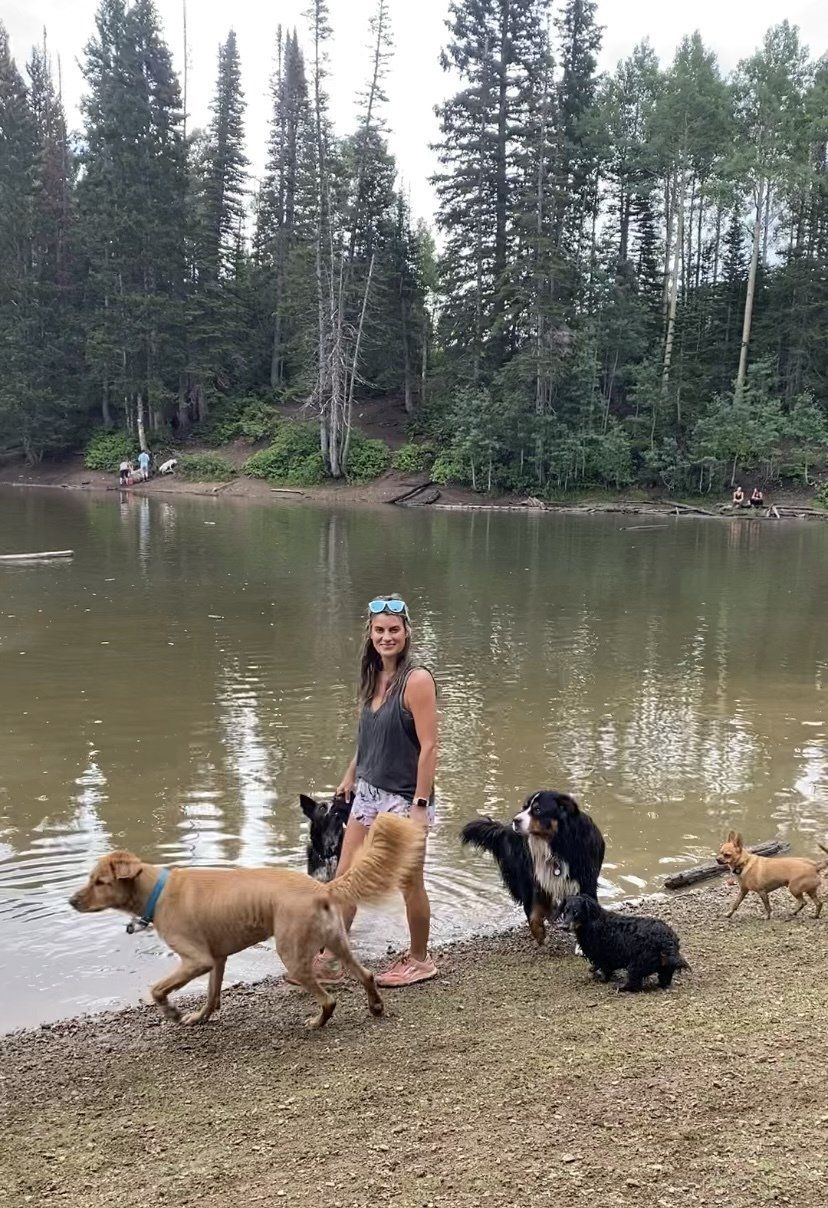 salt lake city dog walker