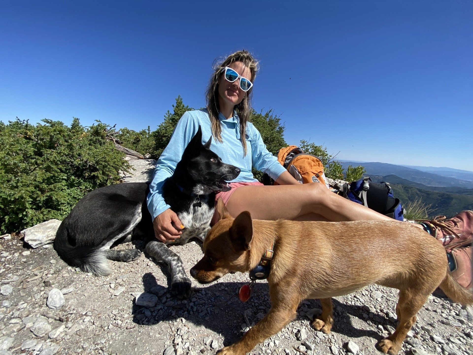 Salt Lake City Dog Walker