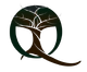 ICONA LOGO