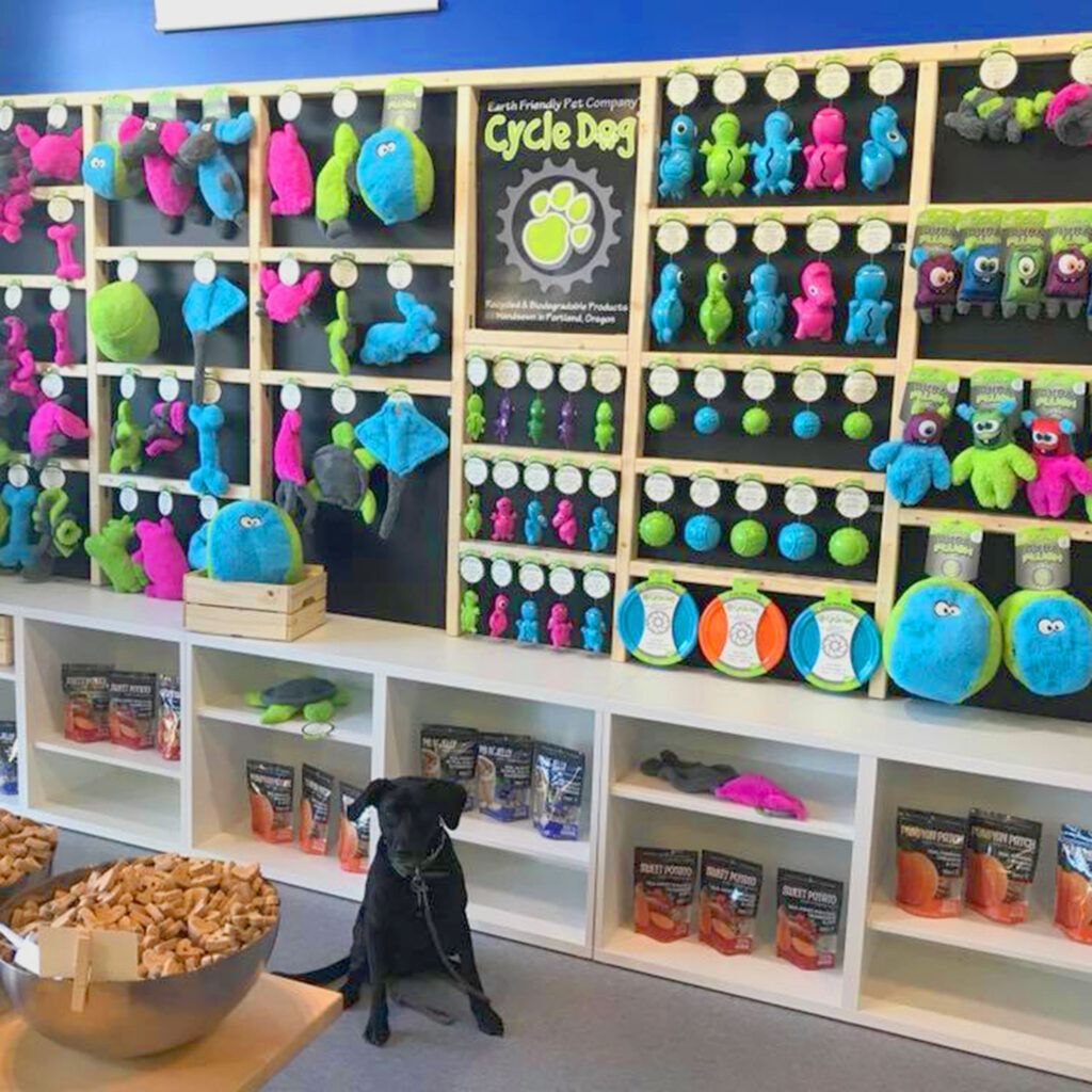 A black dog is sitting in front of a wall of stuffed animals.