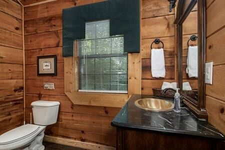 Rustic wood-paneled bathroom with toilet, sink, mirror, and a frosted window