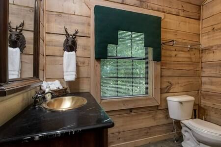 Rustic wood-paneled bathroom with black vanity, gold sink, and window with green curtain