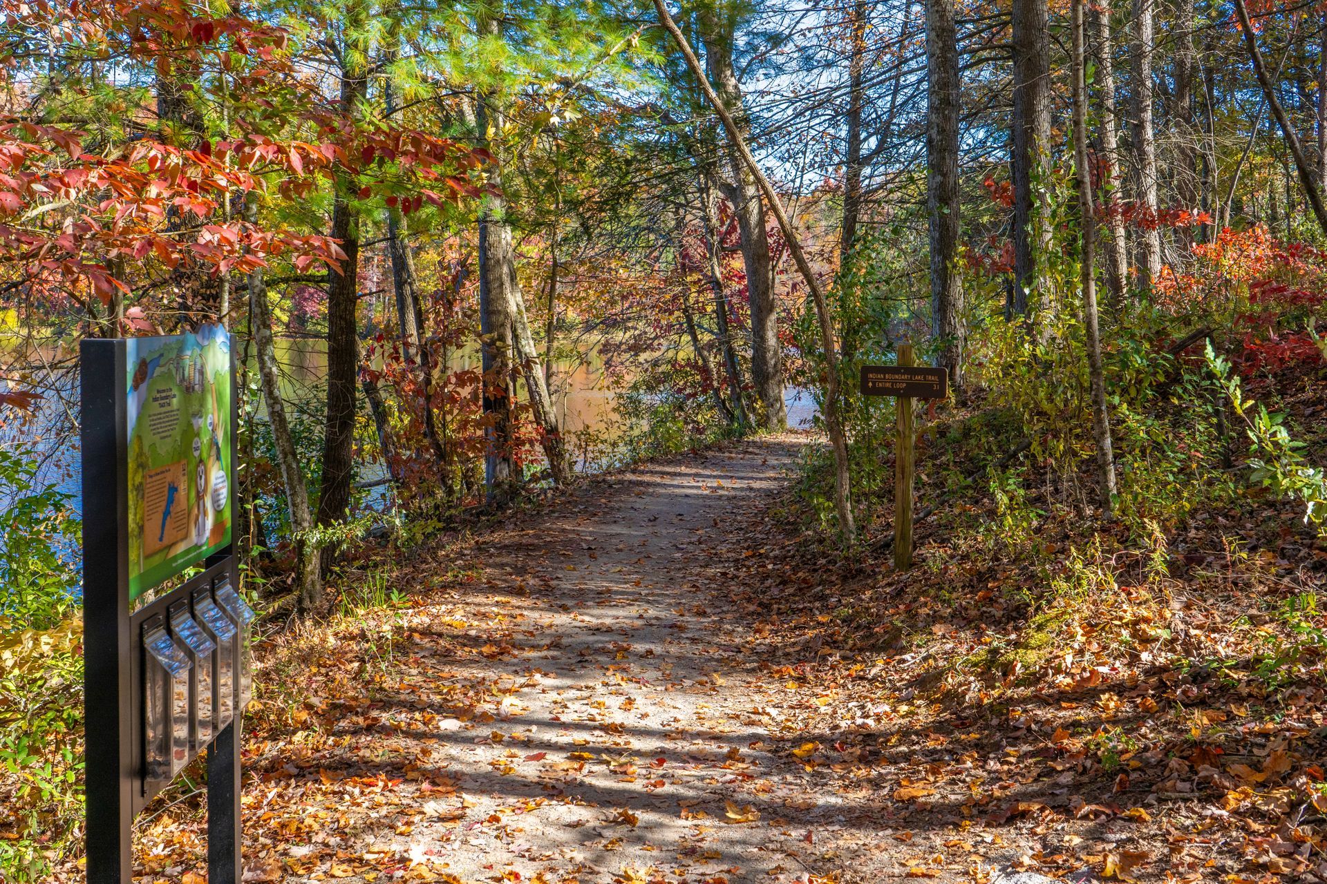 Wooded trail in autumn with fallen leaves and informational signs by the path