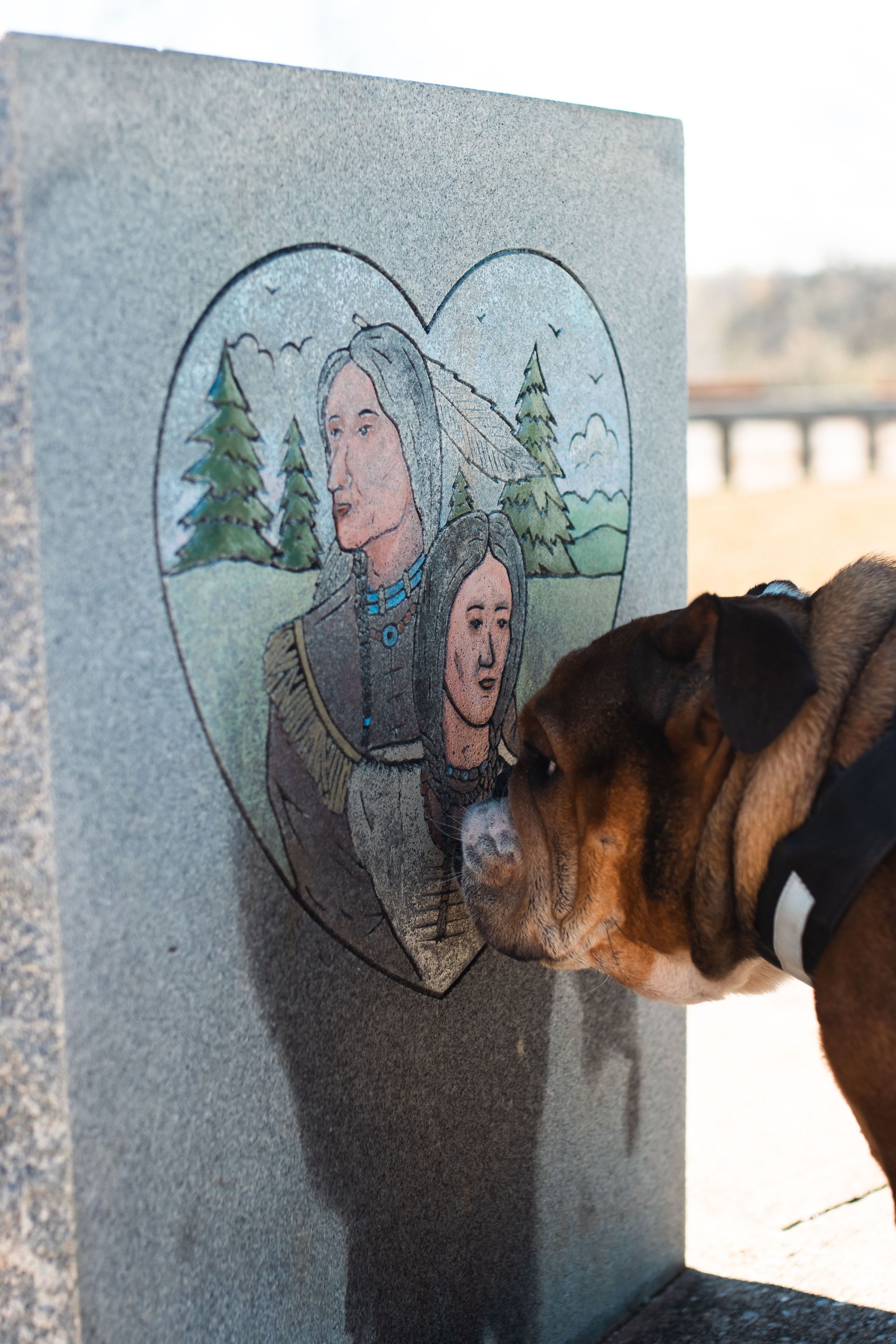 Dog sniffing a heart-shaped memorial plaque with a painted portrait and trees outdoors