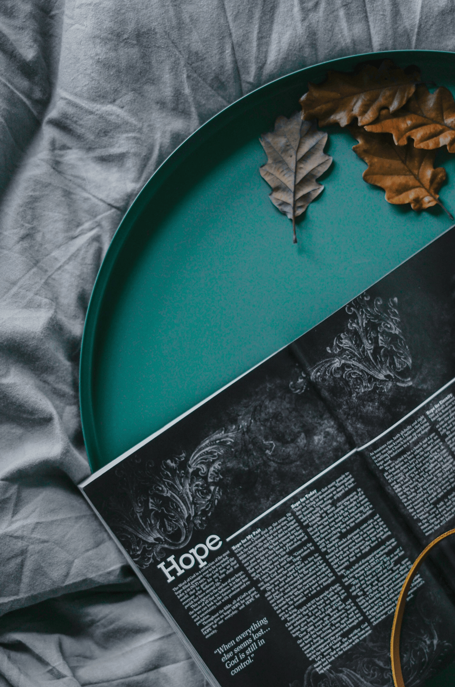 Green tray with dry leaves and a book open to a page with the word