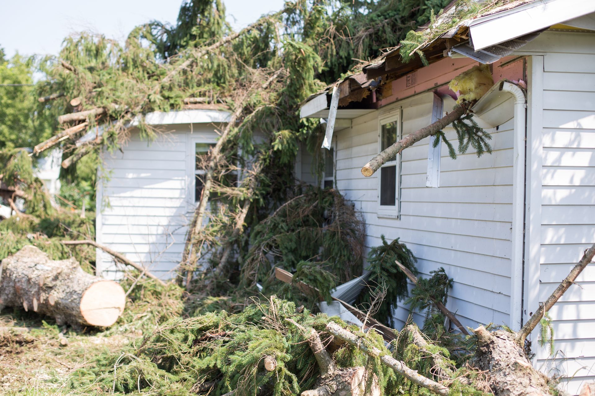 House damaged by a fallen tree; branches cover the roof and yard, white siding.