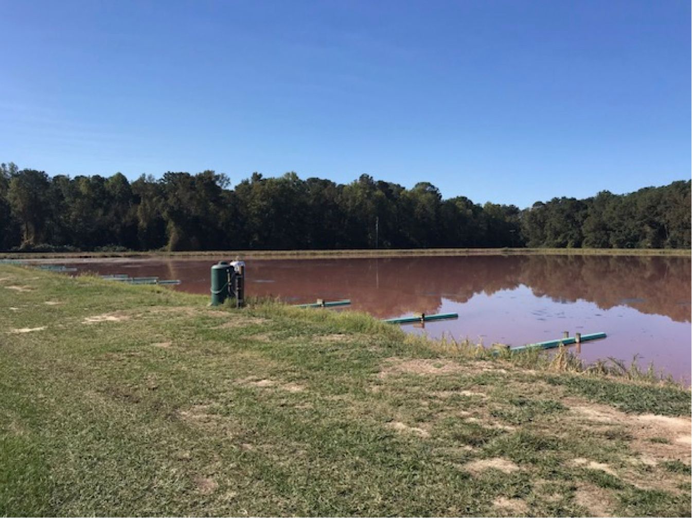 Hog Lagoon
