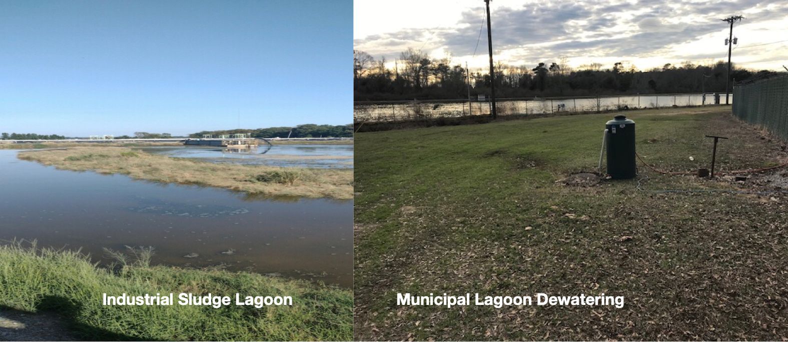Lagoon bio-dredging