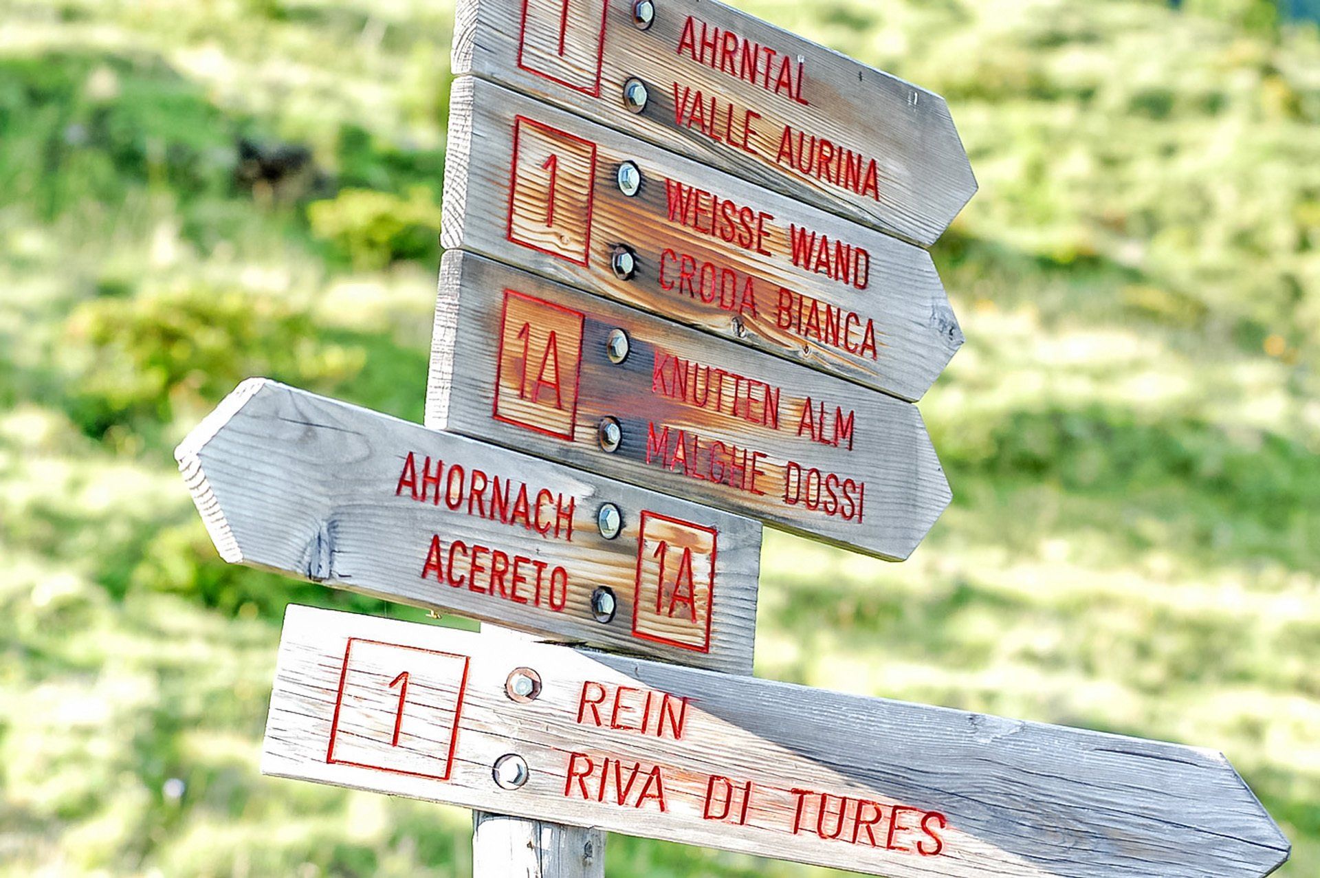 Rein in Taufers, Ahrntal, Südtirol, Wegweiser, Schilder, Alpen, Ostalpen, Weiße Wand, Knuttenalm,  Ahornach