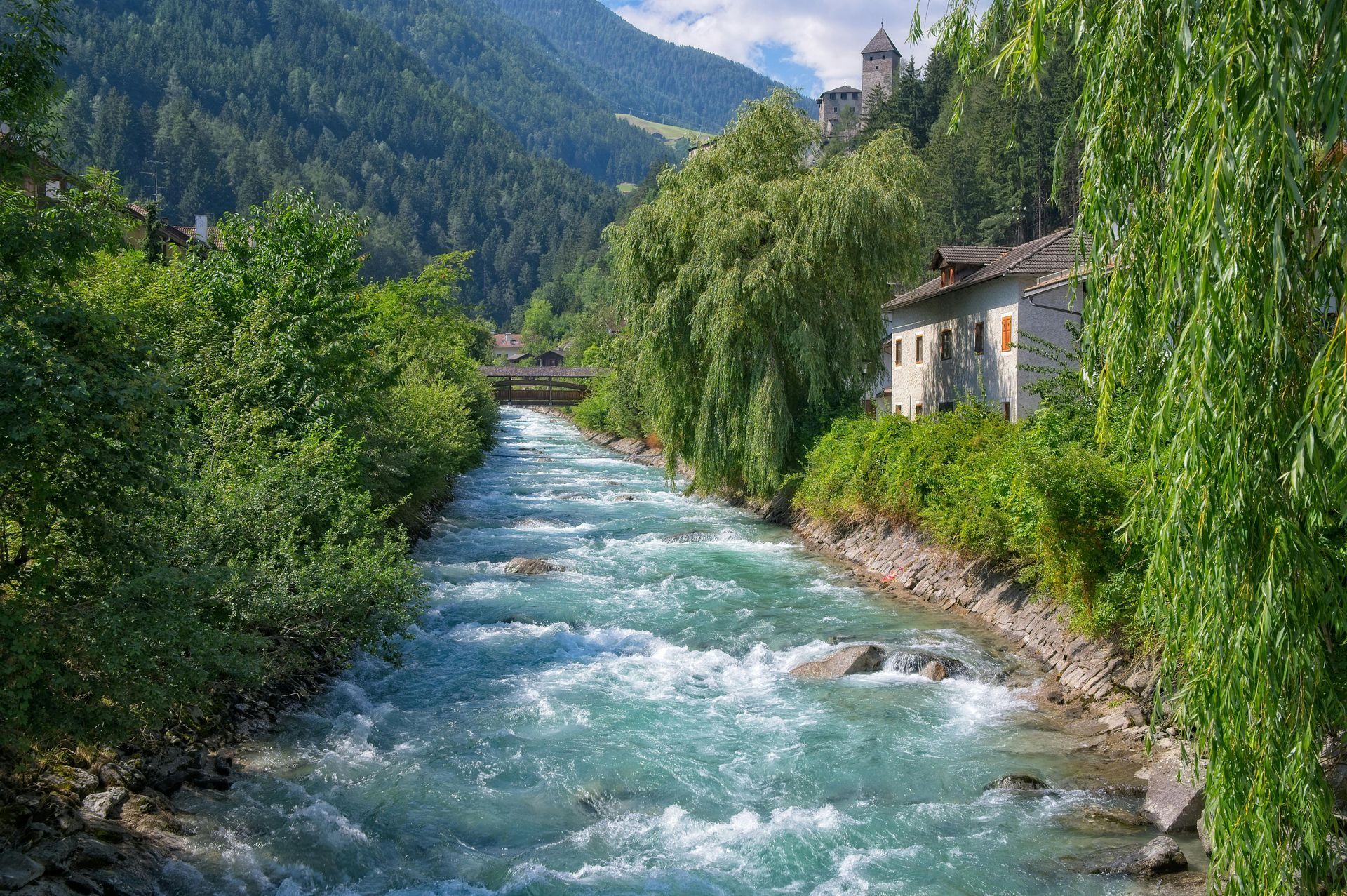 Ein Fluss, der durch einen üppigen grünen Wald fließt, mit einer Burg im Hintergrund.