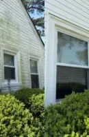 White house exterior with multiple windows and green shrubs along the base